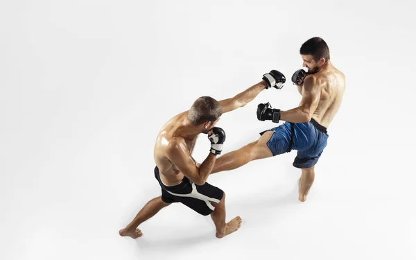 Dois lutadores profissionais de MMA boxe isolado em fundo de estúdio branco, dinâmica e movimento. Vista superior — Fotografia de Stock