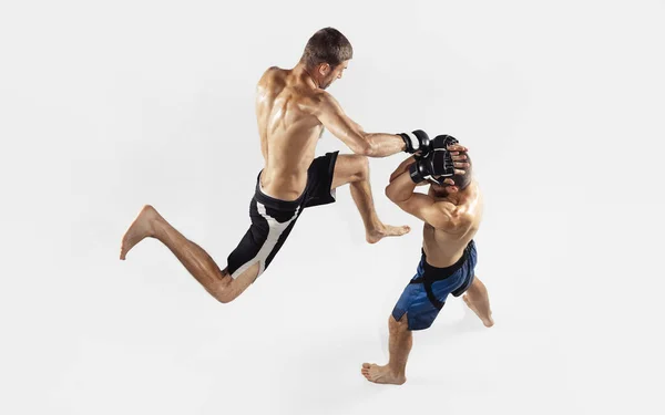 Two professional MMA fighters boxing isolated on white studio background, dynamic and motion. Top view — Stock Photo, Image