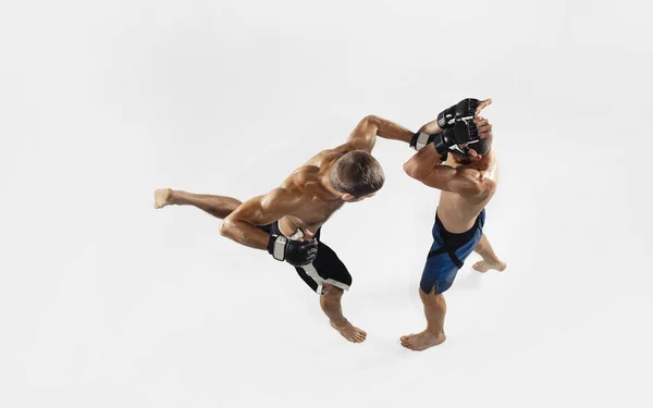 Beyaz stüdyo arka planında izole edilmiş iki profesyonel MMA dövüşçüsü, dinamik ve hareketli. Üst görünüm — Stok fotoğraf