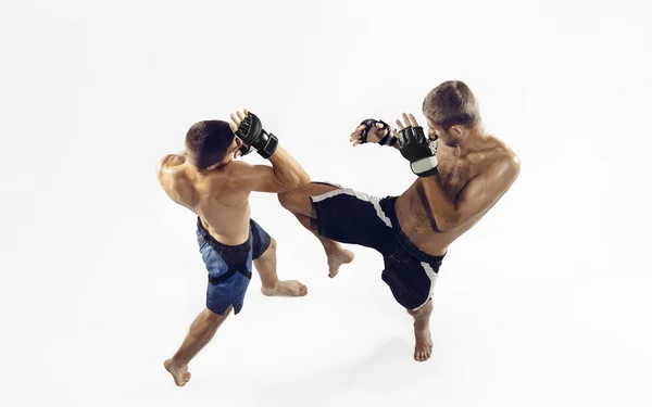 Two professional MMA fighters boxing isolated on white studio background, dynamic and motion. Top view — Stock Photo, Image