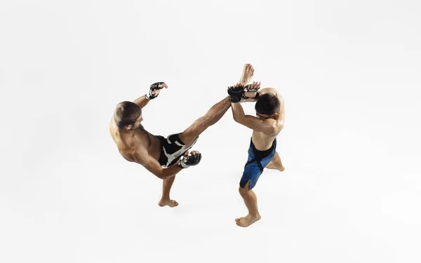 두 개의 전문적 인 MMA 격투 시합이 화이트 스튜디오 배경에 분리되어 역동적 이고 동작적 입니다. 위에서 본 풍경 — 스톡 사진