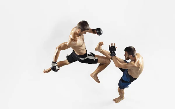 Beyaz stüdyo arka planında izole edilmiş iki profesyonel MMA dövüşçüsü, dinamik ve hareketli. Üst görünüm — Stok fotoğraf