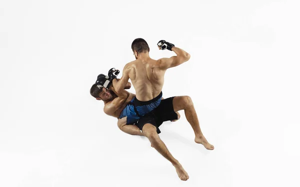 Two professional MMA fighters boxing isolated on white studio background, dynamic and motion. Top view — Stock Photo, Image