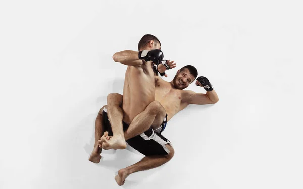 Dos luchadores profesionales MMA boxeo aislado en fondo de estudio blanco, dinámico y movimiento. Vista superior —  Fotos de Stock