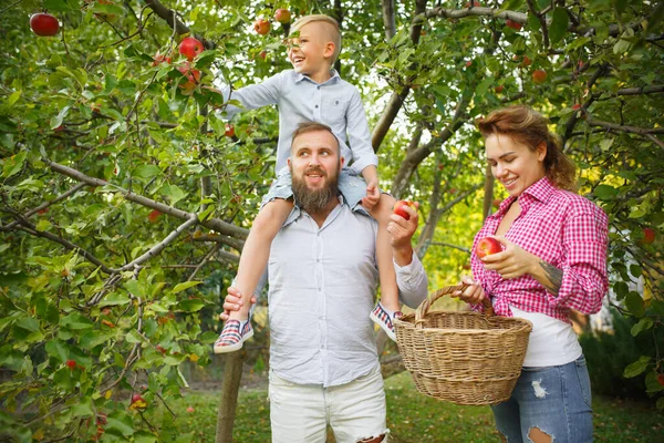 Glückliche junge Familie beim Apfelpflücken in einem Garten im Freien. Liebe, Familie, Lebensstil, Erntekonzept. — Stockfoto