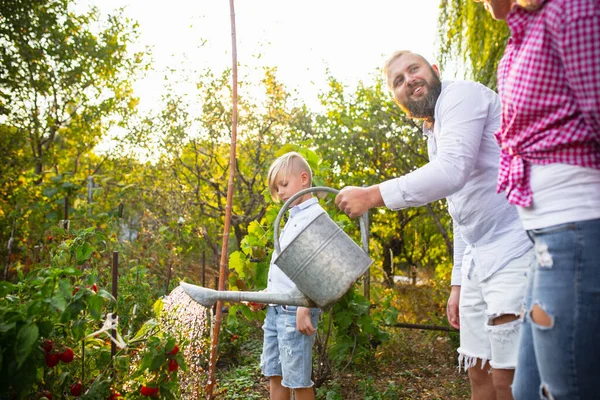 Glückliche junge Familie beim Beerenpflücken in einem Garten im Freien. Liebe, Familie, Lebensstil, Erntekonzept. — Stockfoto