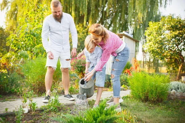 Happy family during watering plants in a garden outdoors. Love, family, lifestyle, harvest concept.