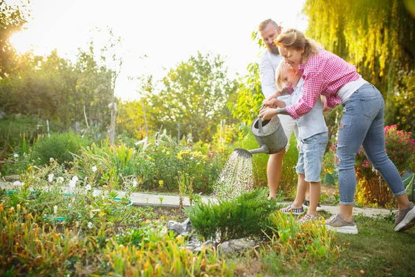 Glückliche Familie beim Pflanzen gießen im Garten im Freien. Liebe, Familie, Lebensstil, Erntekonzept. — Stockfoto