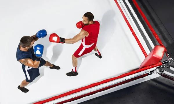 Dwa profesjonalne bokserki bokserskie na białym tle na ringu, akcja, widok z góry — Zdjęcie stockowe