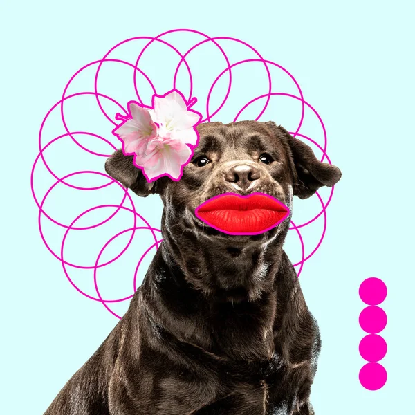 Modern design, contemporary art collage with cute doggies — Stock Photo, Image