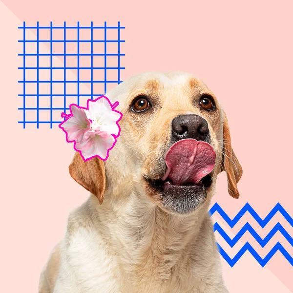 Modern design, contemporary art collage with cute doggies