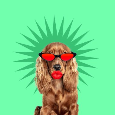 Modern tasarım, sevimli köpeklerle çağdaş sanat kolajı.