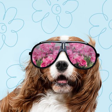 Modern tasarım, sevimli köpeklerle çağdaş sanat kolajı.