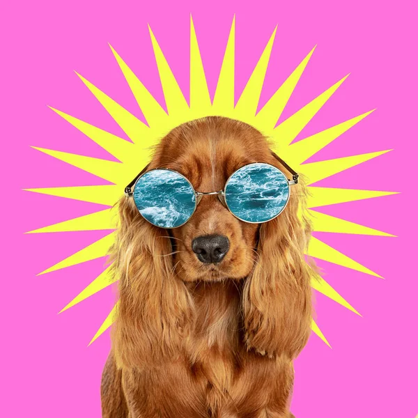 Desain modern, seni kontemporer kolase dengan anjing lucu — Stok Foto