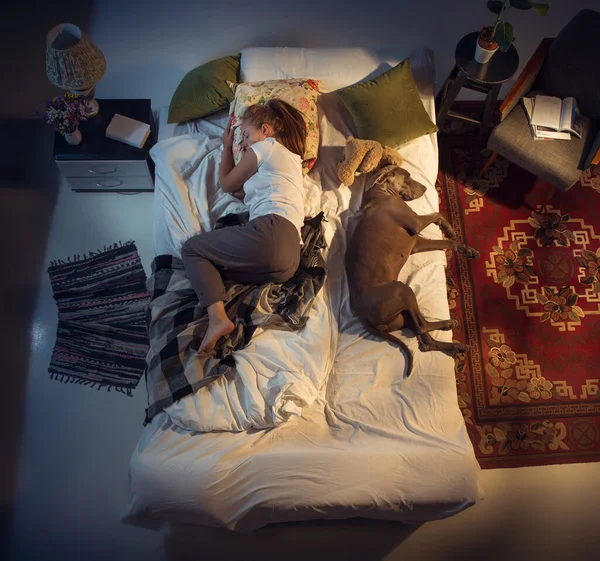 Портрет женщины, заводчицы, спящей в постели с собакой дома — стоковое фото