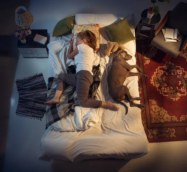 Портрет женщины, заводчицы, спящей в постели с собакой дома — стоковое фото