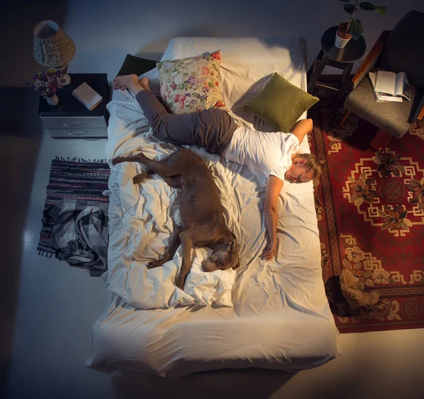 Retrato de una mujer, criadora durmiendo en la cama con su perro en casa —  Fotos de Stock