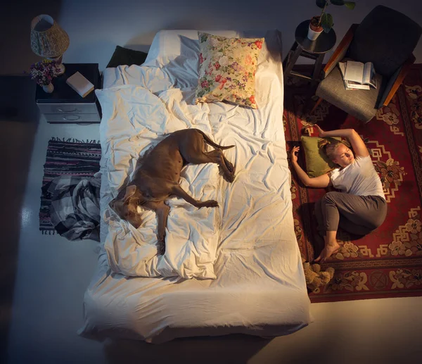 Portré egy nőről, nőstény tenyésztőről, aki az ágyban alszik a kutyájával otthon. — Stock Fotó