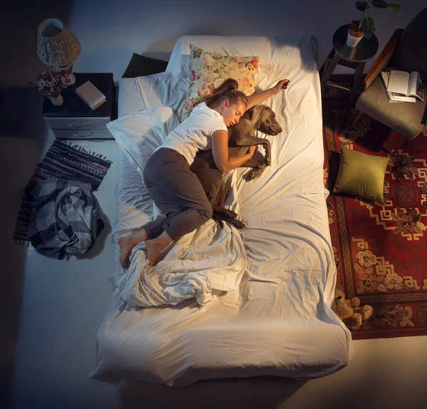 Retrato de una mujer, criadora durmiendo en la cama con su perro en casa —  Fotos de Stock