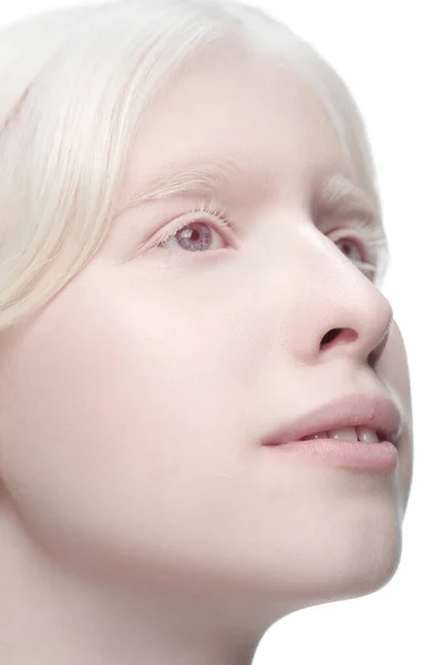 Portrait de belle femme albinos isolée sur fond de studio blanc. Beauté, mode, soins de la peau, concept cosmétique. — Photo