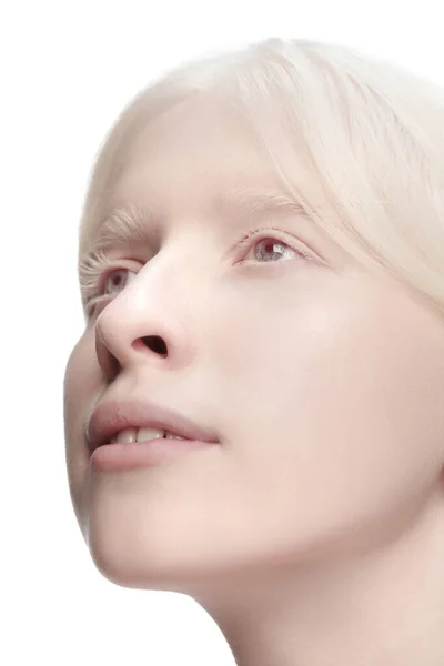 Portret van een mooie albino vrouw geïsoleerd op witte studio achtergrond. Schoonheid, mode, huidverzorging, cosmetica concept. — Stockfoto