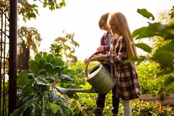 Happy brother and sister watering plants in a garden outdoors together — Stock Photo, Image