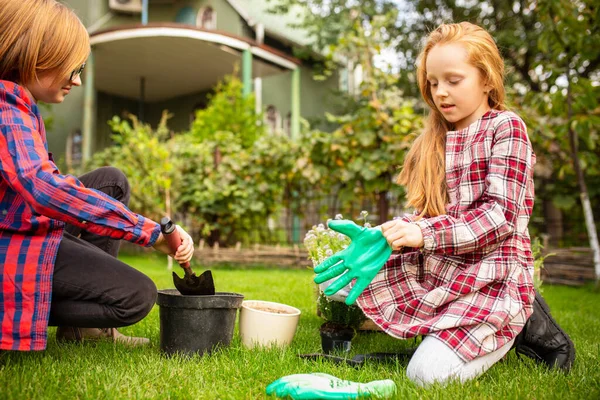 Glückliches Geschwisterpaar beim gemeinsamen Pflanzen im Garten — Stockfoto