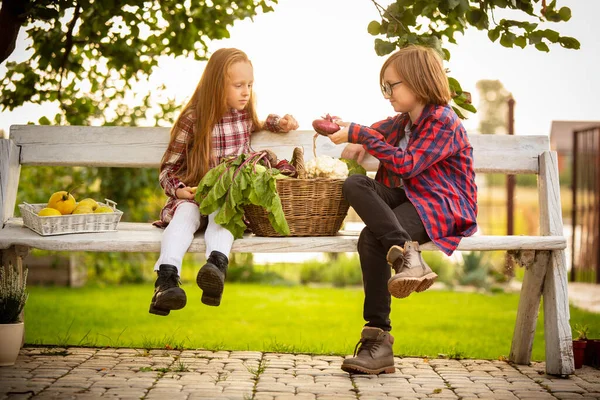 Feliz hermano y hermana con cubo de comida de temporada en un jardín al aire libre juntos — Foto de Stock