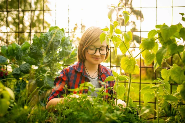 Niño feliz plantando en un jardín al aire libre — Foto de Stock