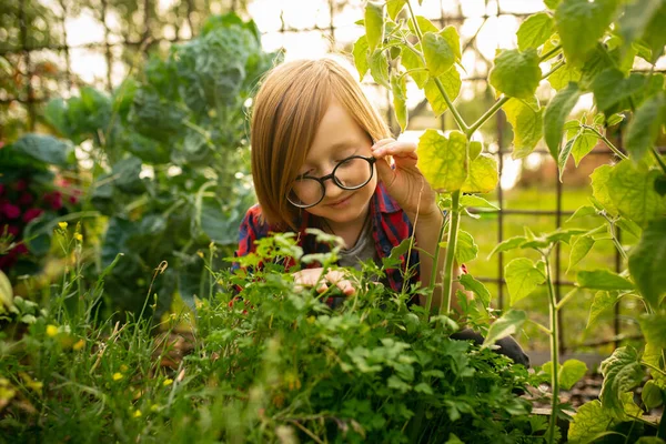 Glücklicher kleiner Junge pflanzt im Garten im Freien — Stockfoto