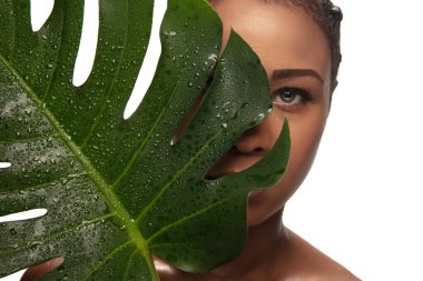 Beyaz stüdyo arka planında izole edilmiş güzel bir Afro-Amerikan kadının portresi. Güzellik, moda, cilt bakımı, kozmetik konsepti.