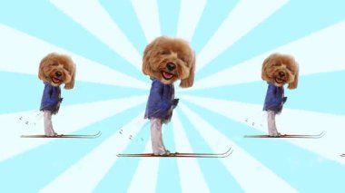 Yaratıcı video reklamı. Kış kıyafetli, çizgili arka planda köpek kafalı kayakçı. Kış tatili eğlencesi, yaşam tarzı mizahı, turizm tanıtımı ve yaratıcı yayın tasarımı kavramı.
