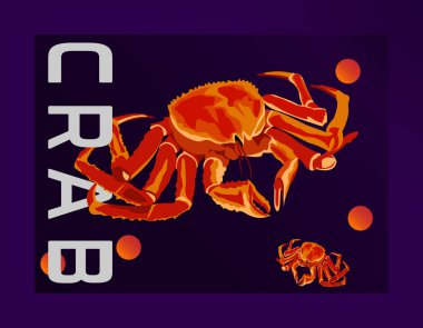 Poster arkaplan kağıdı için karışık renk arkaplanı olan güzel hayvan yengeç vektörü