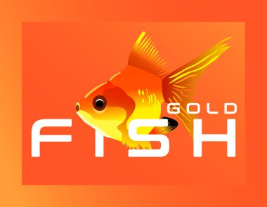 Japon balığı vektör arka planı arka plan duvar kağıdı için karışık renklere sahip su altı doğasının güzelliği