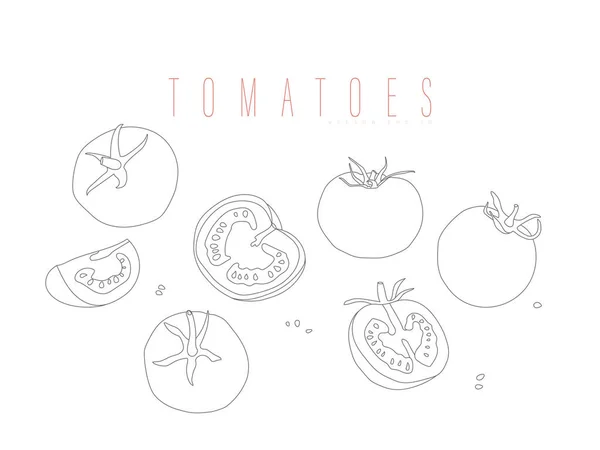 Enteros Tomates Cortados Esquema Vectorial Aislado Sobre Fondo Blanco Hortalizas — Archivo Imágenes Vectoriales