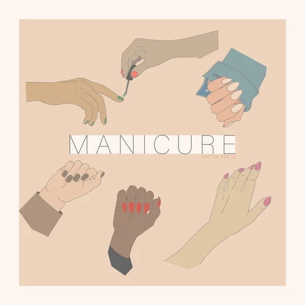 Conjunto Mãos Femininas Vetoriais Com Manicure Ilustração Para Design Blogging —  Vetores de Stock