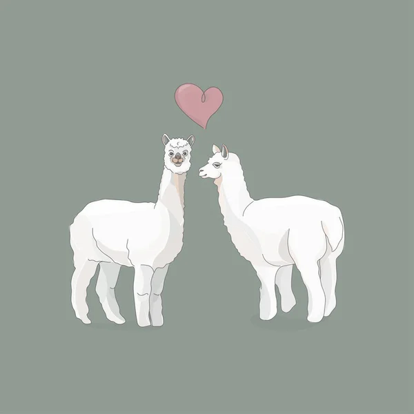 Llama Loveストックベクター ロイヤリティフリーllama Loveイラスト ページ 5 Depositphotos