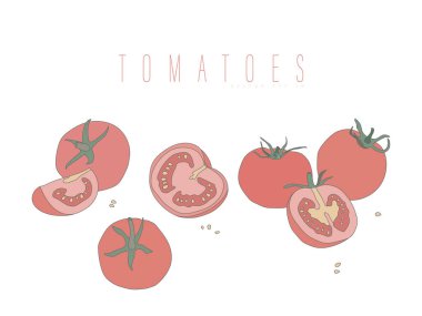 Tam ve domatesleri doğra. Beyaz arkaplanda izole edilmiş bir kontur ile düz bir şekilde vektör illüstrasyonu. Tasarım için sebzeler.