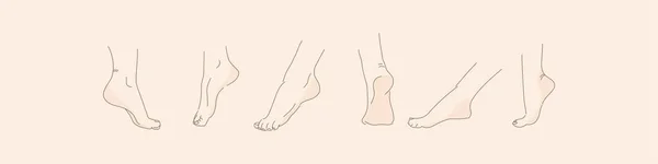 様々なポーズでベクトル人間の足 線で手描き デザインのための女性の足のセット — ストックベクタ