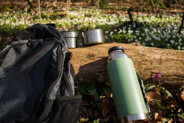 İki kupa, termos şişesi ve sırt çantası ormandaki ağaç gövdesine dayanır. Doğayı koruma, çevreyi koruma ve sağlıklı yaşam tarzı kavramı