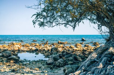 Haad Yuan Beach Koh Samui Tayland
