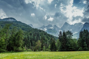 Julian Alps, Slovenya, Kranjska Gora aşağıda güzel mera