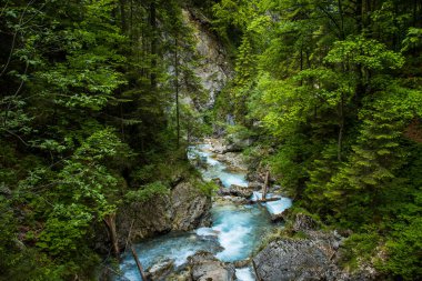 Slovenya, Julian alps nehirde Martuljek