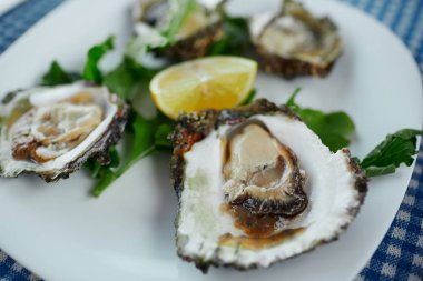 Mavi bir masa örtüsü üzerinde yeşil salata ve limon ile beyaz bir tabak üzerinde taze istiridye