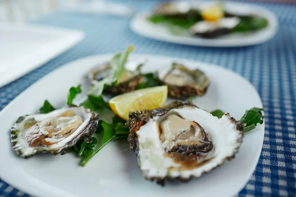 Verse oesters op een wit bord met groene salade en citroen op een blauw tafellaken — Stockfoto