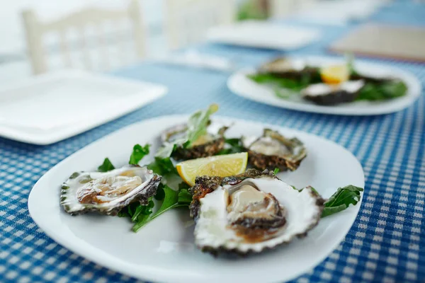 Fresh oysters on a white plate with green salad and lemon on a blue tablecloth — Stock Photo, Image