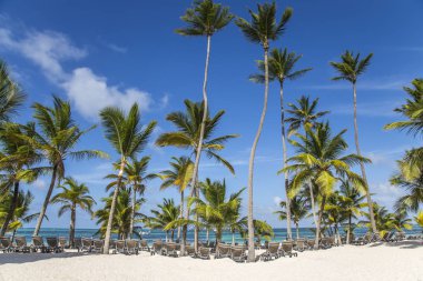cennet tropikal ada Beach ile mükemmel güneşli gökyüzü manzara 