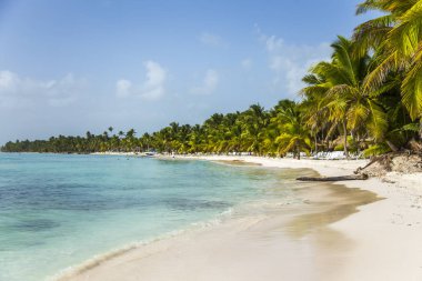 cennet tropikal ada Beach ile mükemmel güneşli gökyüzü manzara 