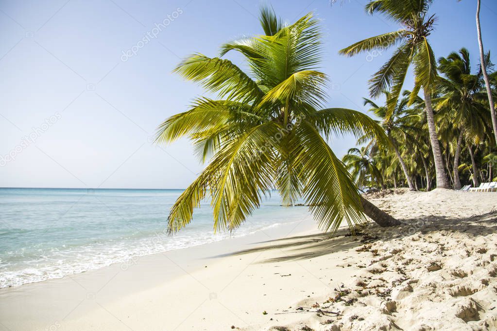 Landscape of paradise tropical island beach with perfect sunny sky 