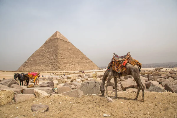 Єгипет Cairo Giza Загальний Вид Пірамід Плато Гіза — стокове фото